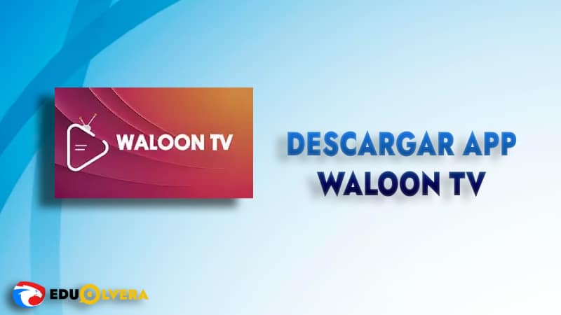 waloon tv